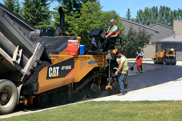Best Local Driveway Pavers  in Woodmoor, CO