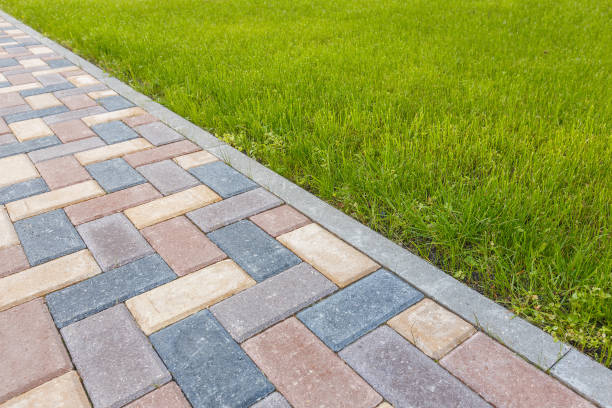 Best Residential Paver Driveway  in Woodmoor, CO